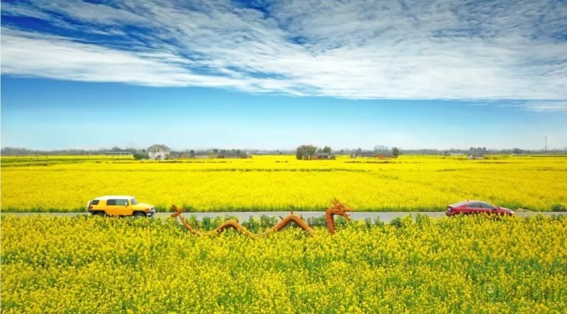 智慧農(nóng)業(yè)前景好，可為啥農(nóng)民用得少？