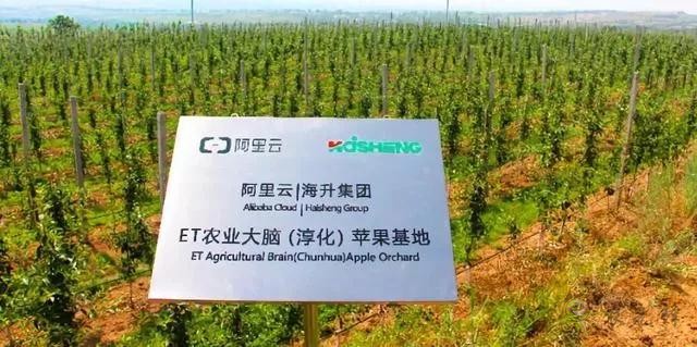 未來農(nóng)業(yè)價(jià)值可期！阿里、京東、華為，碧桂園紛紛發(fā)力數(shù)字農(nóng)業(yè)