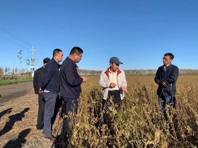 未來農(nóng)業(yè)價(jià)值可期！阿里、京東、華為，碧桂園紛紛發(fā)力數(shù)字農(nóng)業(yè)