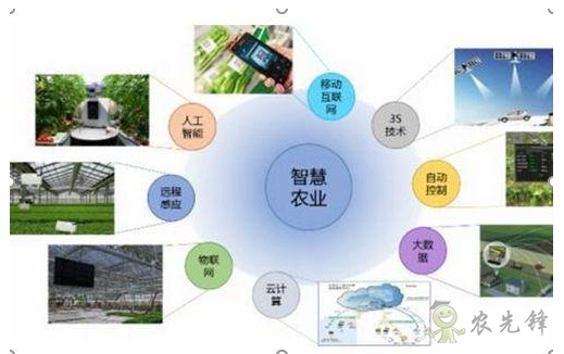 智慧農(nóng)業(yè)開(kāi)始成為流行趨勢(shì)了嗎