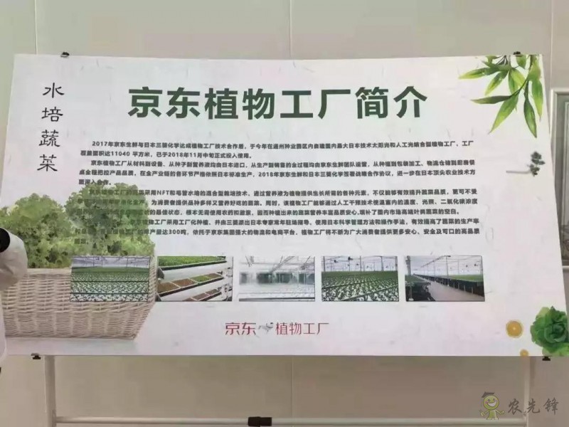 京東的這些“網(wǎng)紅”農業(yè)項目，你都知道嗎？