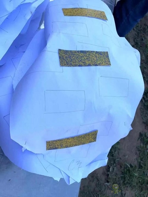 林重意:越南農業(yè)植保飛防服務