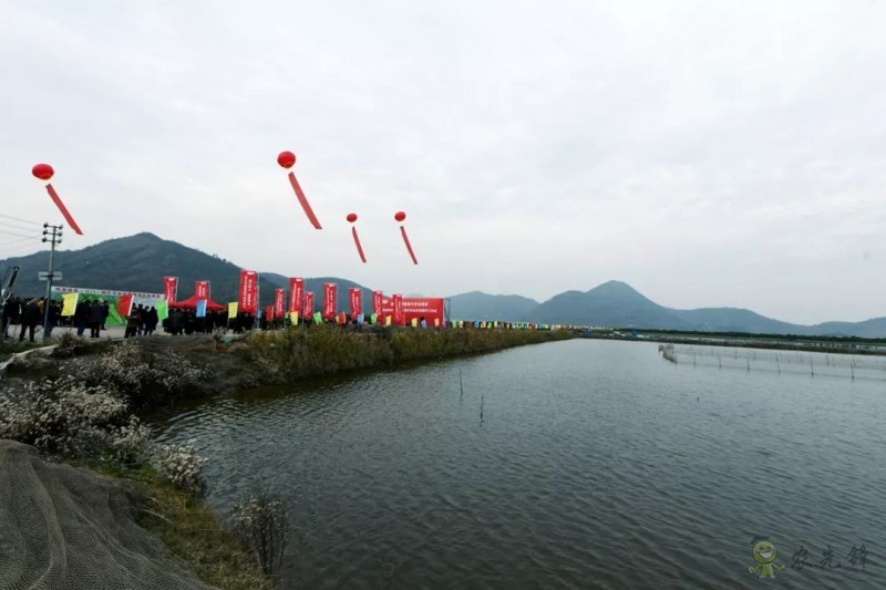 網(wǎng)易味央（三門）現(xiàn)代農(nóng)業(yè)示范園正式開工！