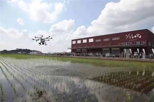 帶你回顧2019 DJI 大疆農業(yè)