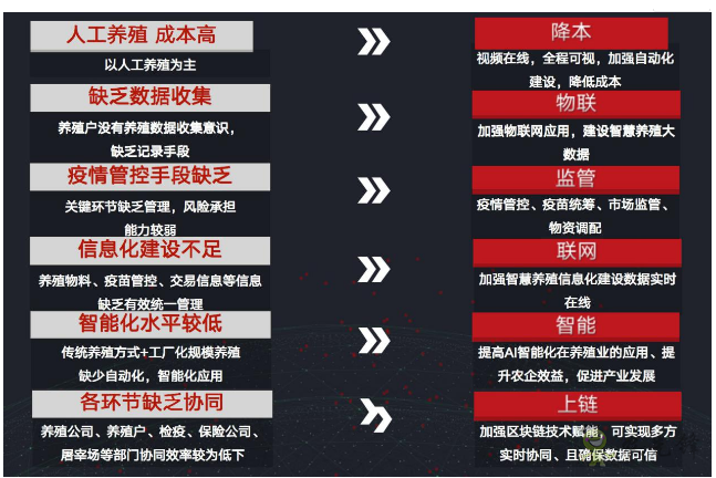 就連養(yǎng)豬都是智能化？現(xiàn)代農業(yè)還遠嗎？