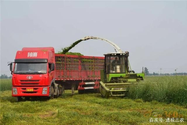 霸氣，江蘇省第一個(gè)把農(nóng)業(yè)機(jī)器人納入補(bǔ)貼
