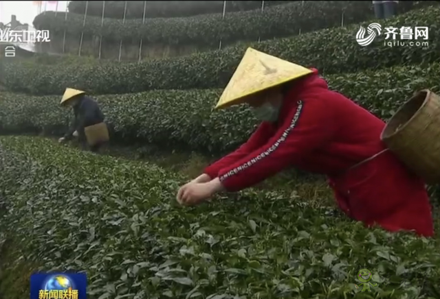 樊祥成:新冠肺炎疫情給農業(yè)農村發(fā)展帶來的困難只是暫時的