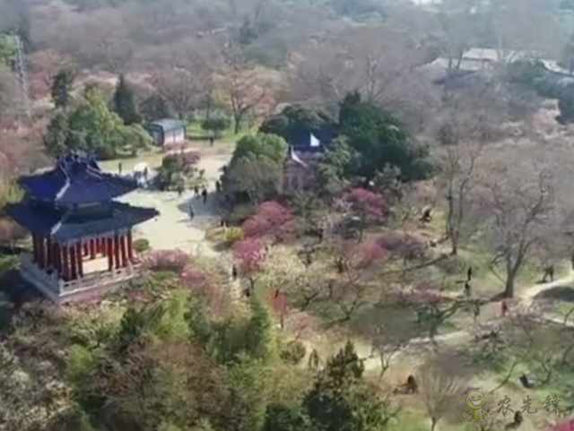 樊祥成:新冠肺炎疫情給農業(yè)農村發(fā)展帶來的困難只是暫時的