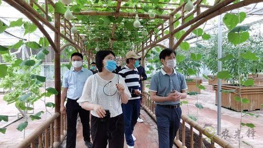 四川瀘州現(xiàn)代農(nóng)業(yè):農(nóng)旅項(xiàng)目
