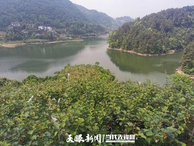 貴陽:大數(shù)據(jù)讓農(nóng)戶嘗到了智慧農(nóng)業(yè)的“甜頭”