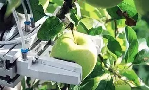 Tractica預計，到2025年，農(nóng)業(yè)機器人的全球市場價值將達到879億美元。