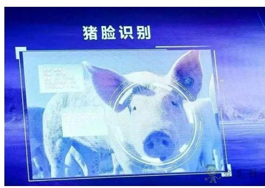 豬臉識別？——阿里巴巴新研發(fā)智能農(nóng)業(yè)平臺