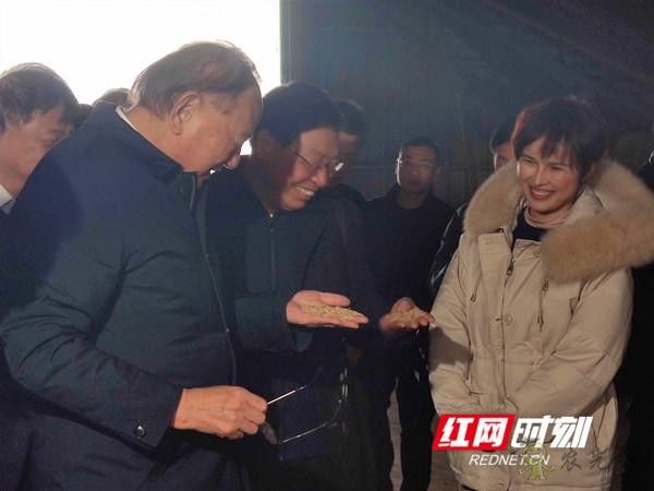湖南首個(gè)無(wú)人農(nóng)場(chǎng)落戶(hù)望城