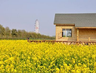 8種最新的農(nóng)業(yè)模式，哪一個會成為下一個“農(nóng)業(yè)風(fēng)口”呢?