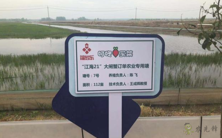 “互聯(lián)網(wǎng)+農(nóng)業(yè)”重構(gòu)產(chǎn)銷 叮咚買菜訂單農(nóng)業(yè)養(yǎng)殖新模式