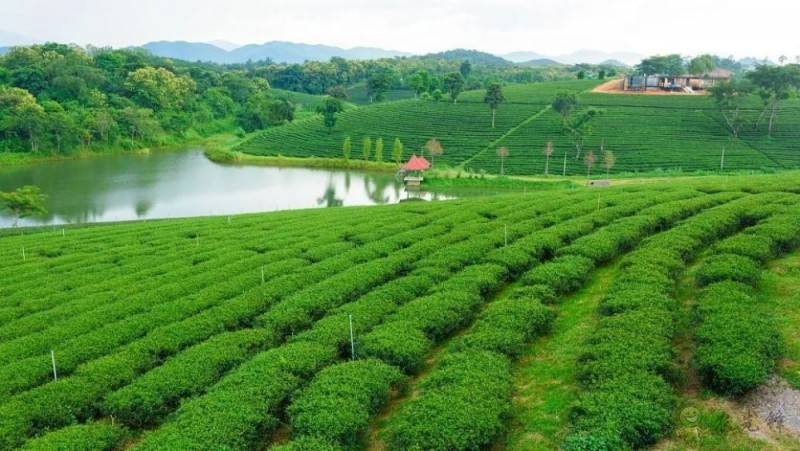 生態(tài)循環(huán)農業(yè)”的發(fā)展重點  這五點值得關注