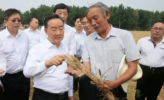 唐仁健部長(zhǎng)：今年夏糧再獲豐收！多地機(jī)收損耗降低1個(gè)百分點(diǎn)以上！