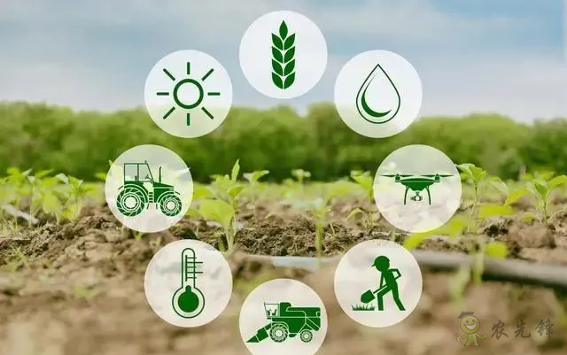 【農(nóng)業(yè)科技】5G、IoT、AI技術(shù)編織智慧農(nóng)業(yè)嶄新圖景