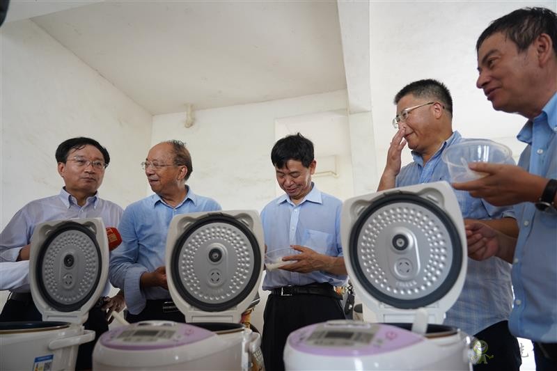 雙季早粳稻實現“零的突破” 可提前三個月吃上優(yōu)質新米