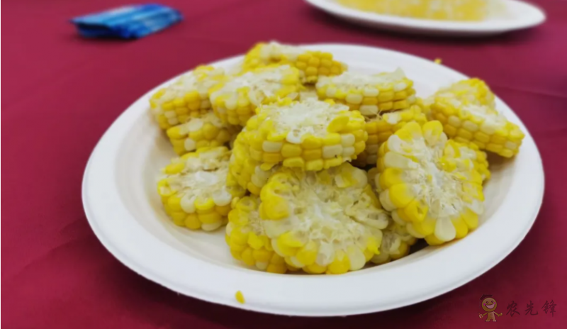 北京:發(fā)揮種業(yè)創(chuàng)新優(yōu)勢做強鮮食玉米產業(yè)