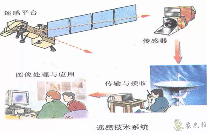 中國(guó)遙感衛(wèi)星再添新成員 看TA在太空如何對(duì)農(nóng)作物“稱斤計(jì)兩”？