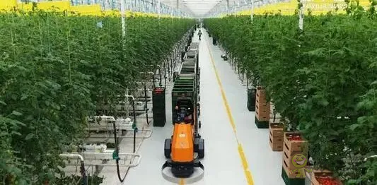 華為養(yǎng)豬帶來的效應，AI+視覺技術正推進智慧農業(yè)