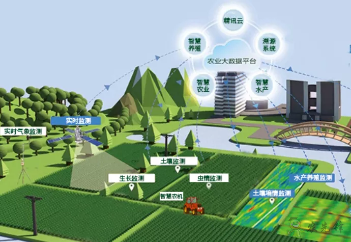 中國數(shù)字經濟規(guī)模全球第二，“農業(yè)數(shù)字革命”正在到來