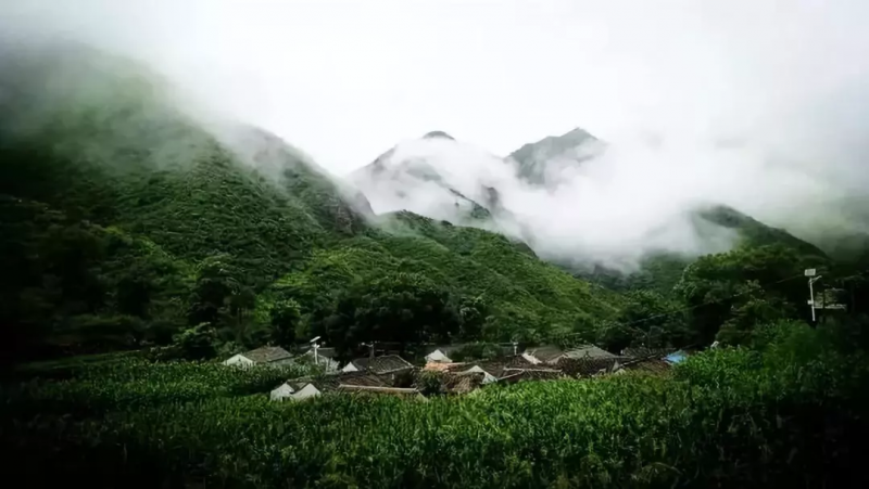 當代中國農(nóng)業(yè)轉(zhuǎn)型技術(shù)選擇之爭:化學(xué)化？轉(zhuǎn)基因？