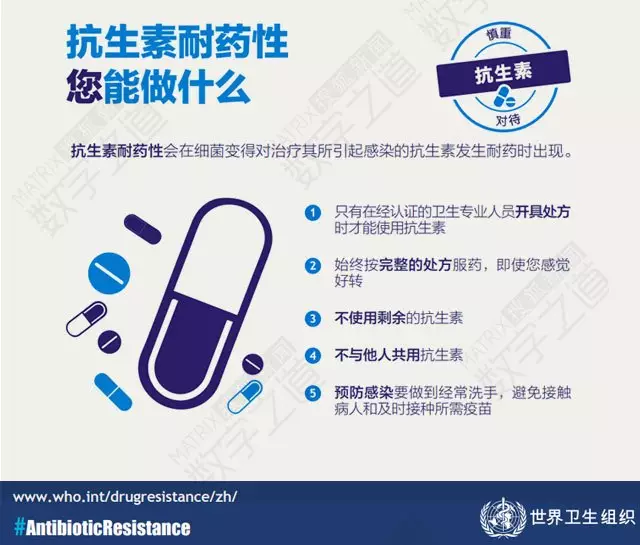 “抗生素肉”擺滿中國人餐桌，豬肉含量居然是牛肉的5倍!