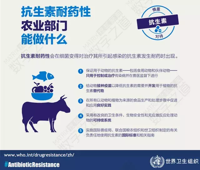 “抗生素肉”擺滿中國人餐桌，豬肉含量居然是牛肉的5倍!