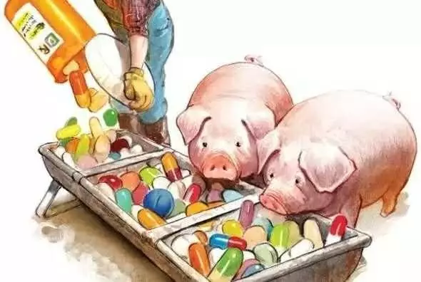 “抗生素肉”擺滿中國人餐桌，豬肉含量居然是牛肉的5倍!