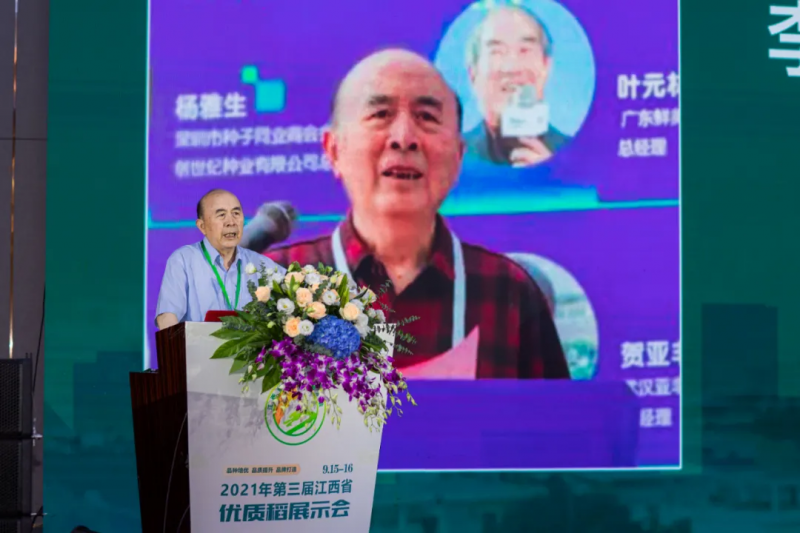 李立秋：種業(yè)振興，難題怎么解？