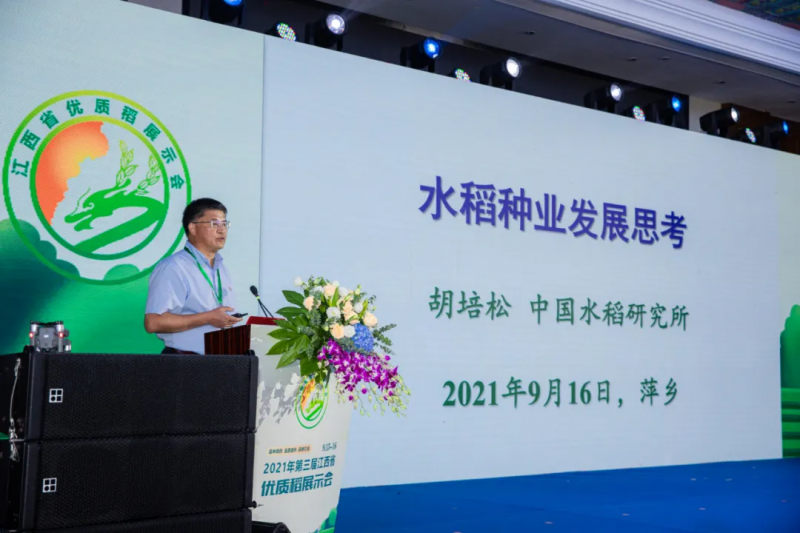 李立秋：種業(yè)振興，難題怎么解？
