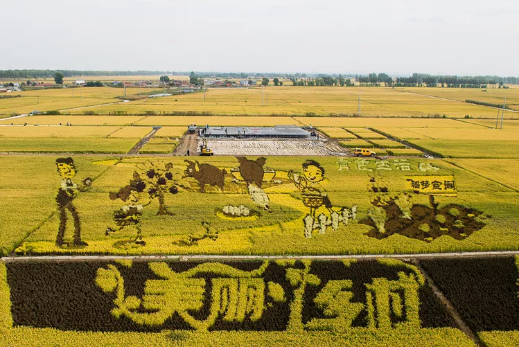 習近平：堅持農(nóng)業(yè)農(nóng)村優(yōu)先發(fā)展，加快農(nóng)業(yè)農(nóng)村現(xiàn)代化