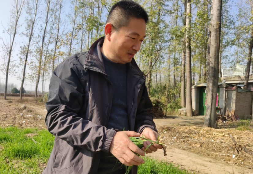 國家加大農(nóng)業(yè)獎補(bǔ)力度，對農(nóng)民種糧是個好消息，2022年該如何調(diào)整