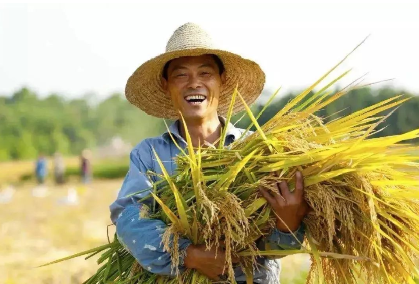 鄉(xiāng)村振興缺人才，加強(qiáng)推進(jìn)人才走進(jìn)鄉(xiāng)村