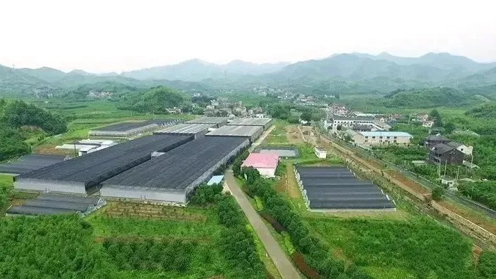 “未來農(nóng)場”的德清實(shí)踐