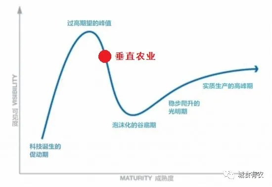 垂直農(nóng)業(yè)領域的“泡沫”要爆？