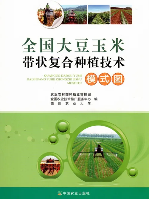 玉米大豆長期發(fā)展趨勢！大豆自產(chǎn)量可增三倍，利潤翻倍！