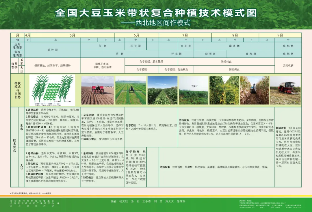 玉米大豆長期發(fā)展趨勢！大豆自產(chǎn)量可增三倍，利潤翻倍！