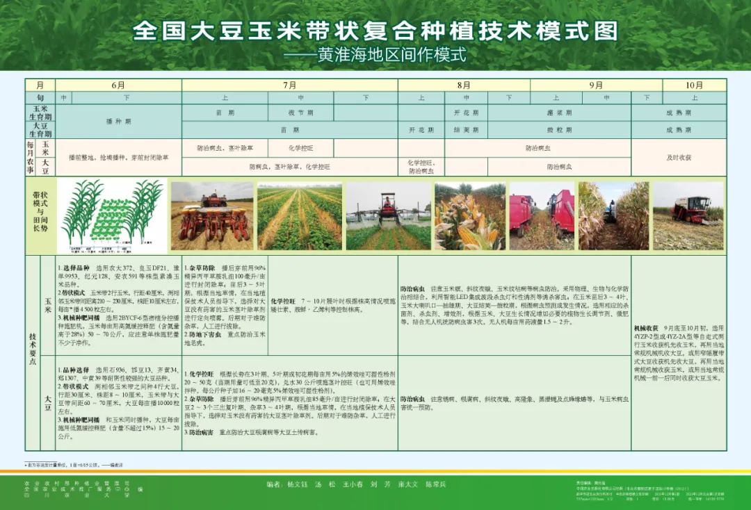 玉米大豆長期發(fā)展趨勢！大豆自產(chǎn)量可增三倍，利潤翻倍！