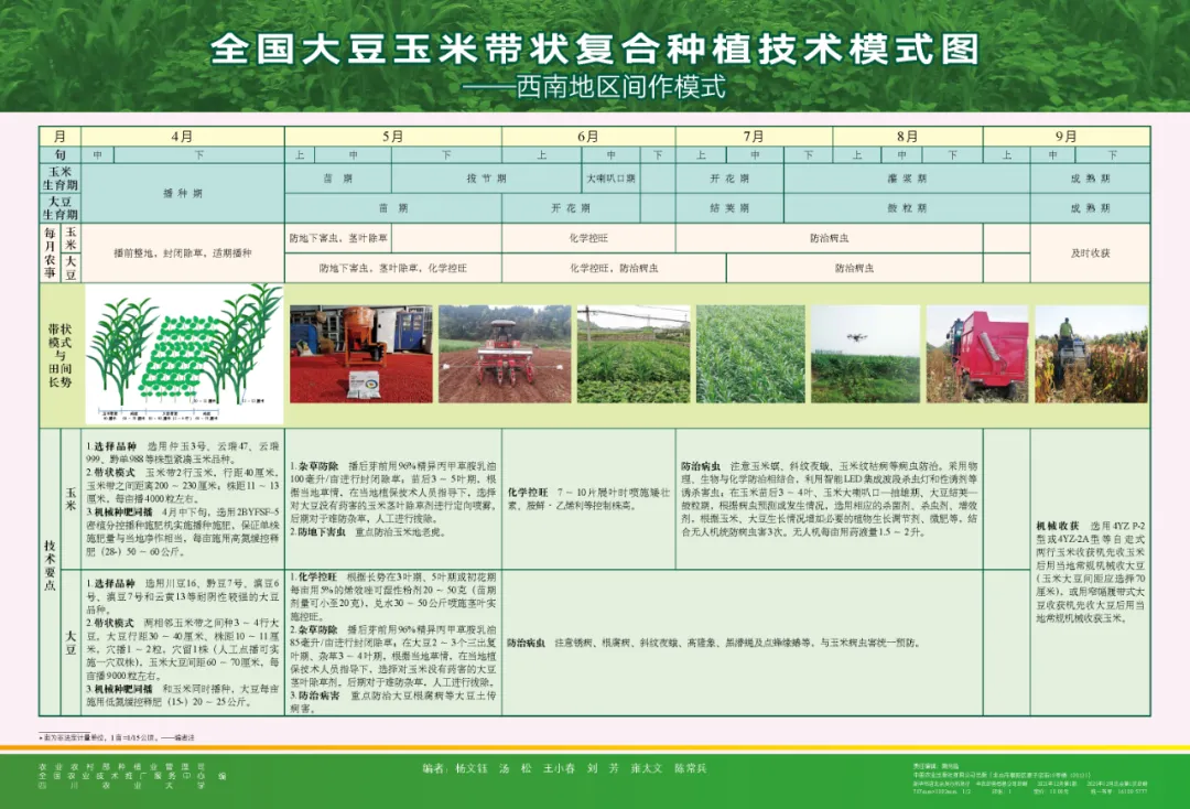 玉米大豆長期發(fā)展趨勢！大豆自產(chǎn)量可增三倍，利潤翻倍！