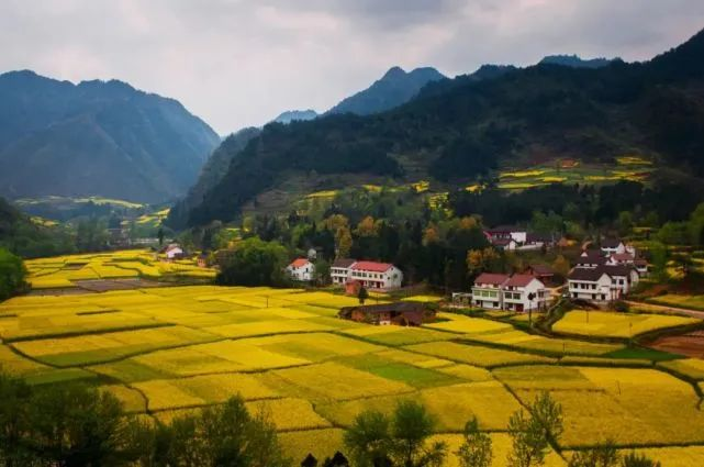 數(shù)字化農(nóng)業(yè)：靠啥實(shí)現(xiàn)產(chǎn)業(yè)鏈到價(jià)值鏈的升級(jí)