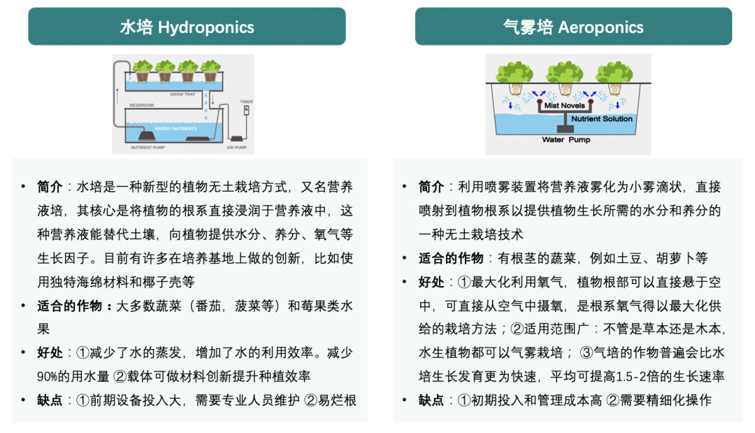 垂直農(nóng)業(yè)，一個(gè)可持續(xù)的未來(lái)？