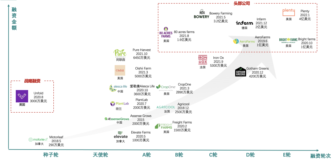 垂直農(nóng)業(yè)，一個(gè)可持續(xù)的未來(lái)？