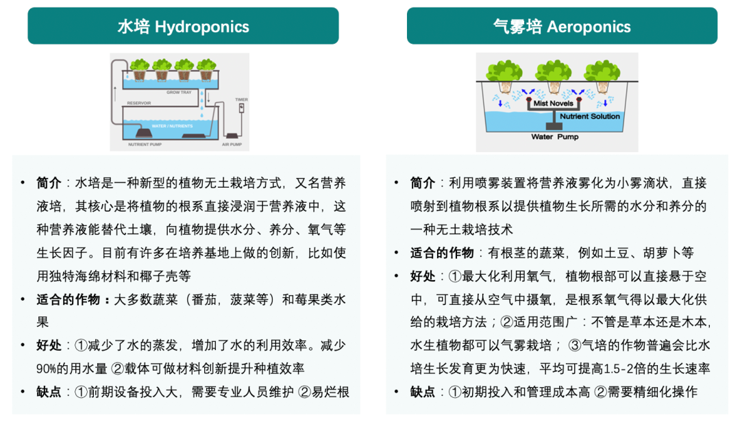 靠“種菜”吸引千萬(wàn)美元融資！揭秘Gardyn公司的品牌發(fā)展之路