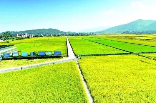 《高標準農(nóng)田建設(shè)通則》國家標準發(fā)布
