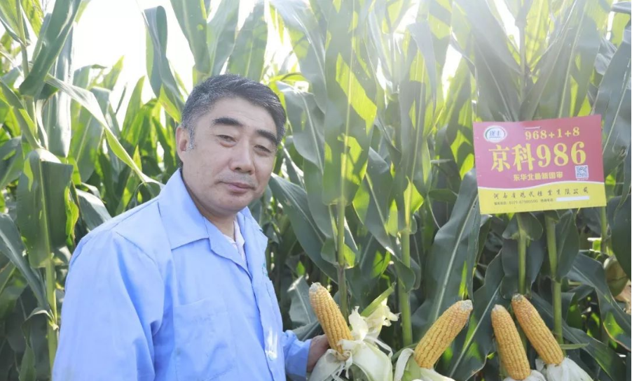 深度透視！農(nóng)業(yè)“芯片”：中國種子戰(zhàn)略