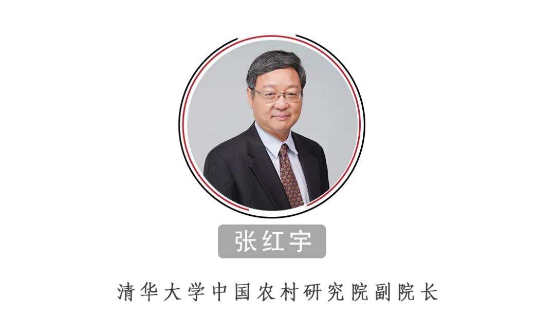 張紅宇：中國的糧食供給安全嗎？絕對沒有問題！