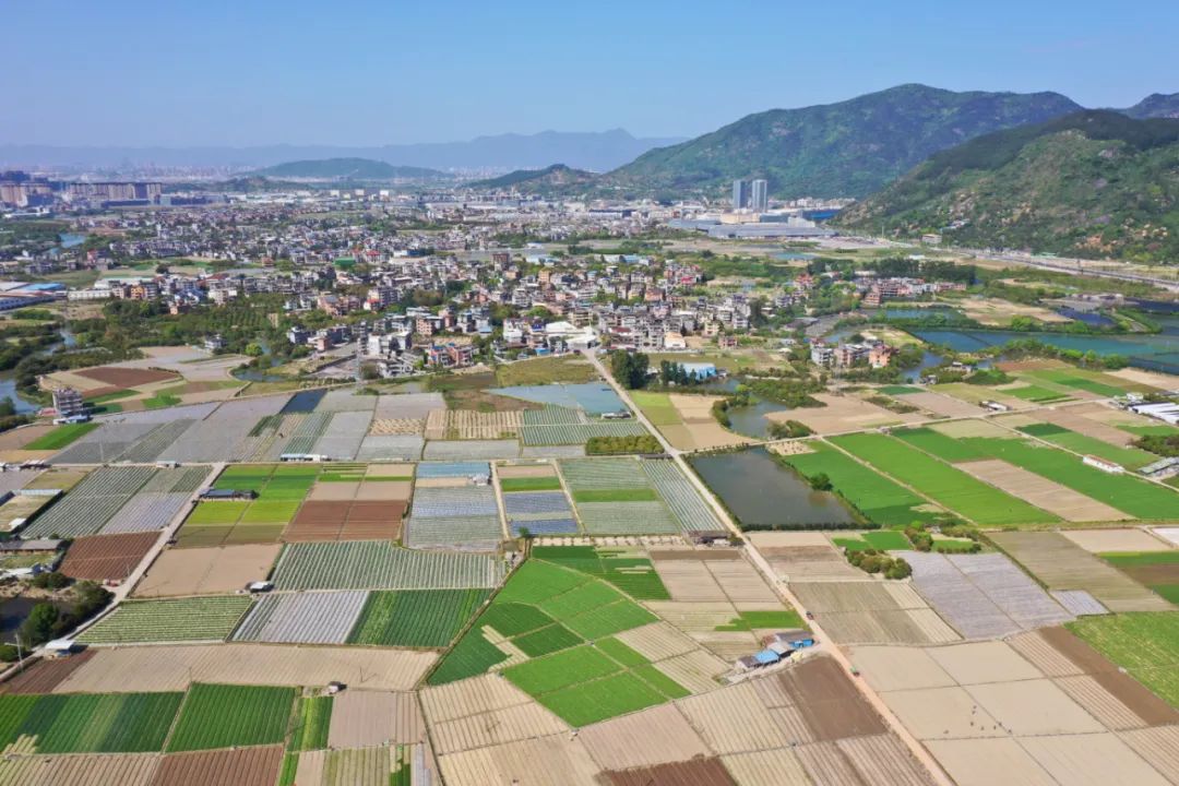 孫中華：發(fā)展新型集體經(jīng)濟(jì) 促進(jìn)鄉(xiāng)村振興和共同富裕